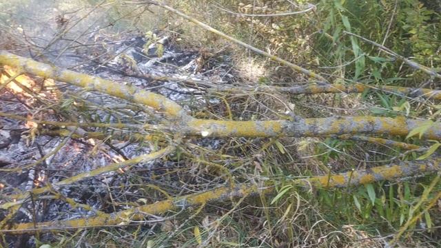 Осенний костёр