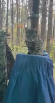 Кузя на опыте всегда в броне