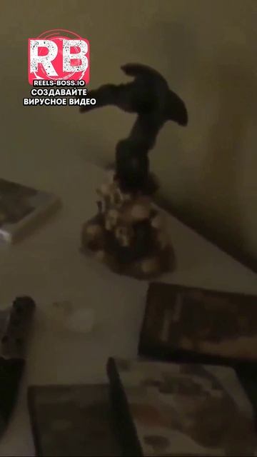 ТЫ НЕ ОЖИДАЕШЬ ЭТОГО! 😱 #шок #неожиданность