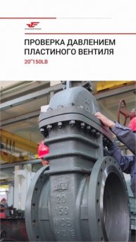 20''150LB Испытание плоскозатворного клапана на давление-ZHENGPENG