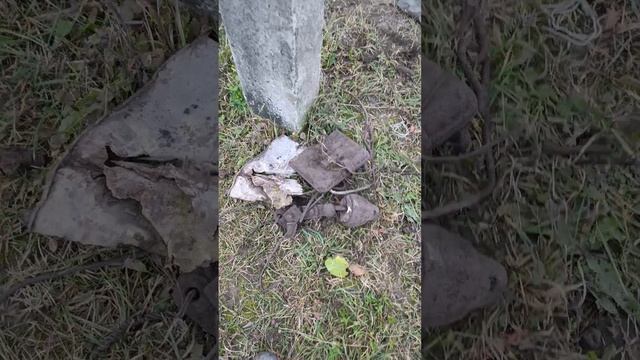 кг 60-80 накопали