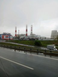 тестирование сырков