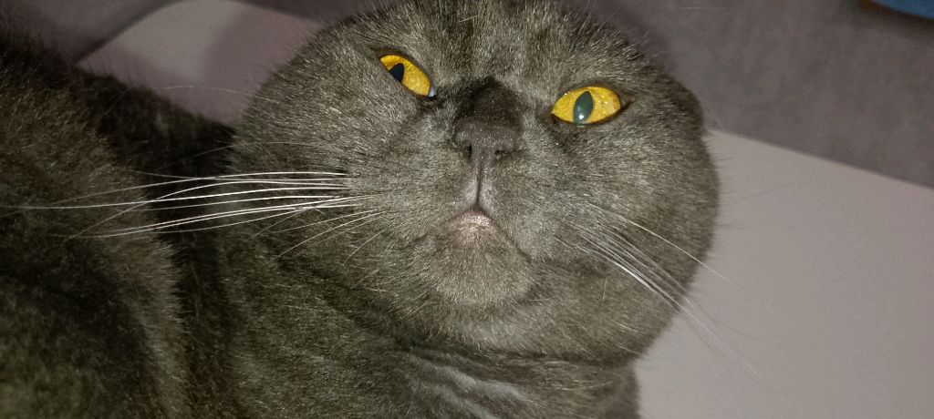 игра в роблокс #никита плей