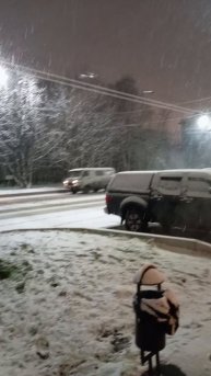 Мурманск. выпал снег 22 октября. ❄❄❄❄❄