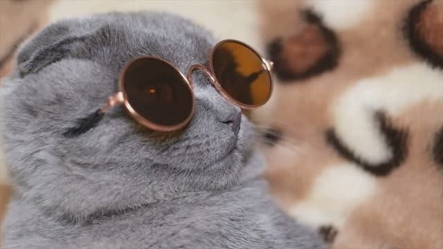 ПЕРЕПРОШИТЫЙ ДЕД - Вот скажите, что это не ХИТ 💖💖💖