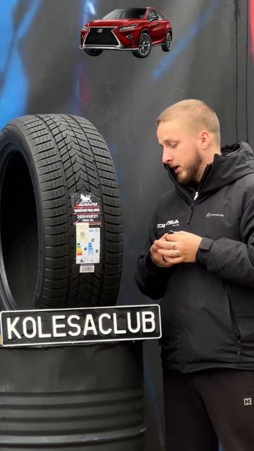 Зимние фрикционные шины Arivo 265/45R21