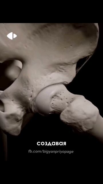 Мягко и эффективно можно развить гибкость придерживаясь системы от просто к сложному!