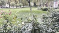Платановая аллея Краснодара...