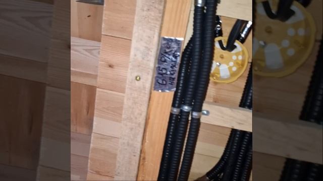 1000037967.mp4 (Собака смотрит на монтаж электропроводки (местного э/освещен. кухни) в доме А-фрейм)