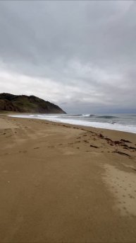 Сёрферы на Охотском море