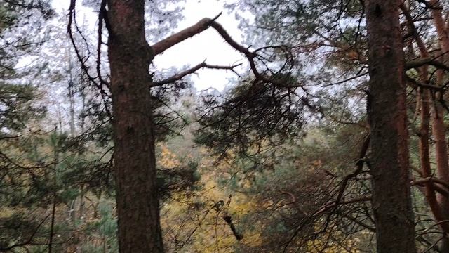 О предложении взимать с неработающих россиян по 45 000 рублей за ОМС в год