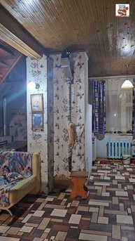 Спортивный дуэт - Пискунчик и Рыжуля-Прыжуля свою вечернюю тренировку посвятили Любимым Зрителям