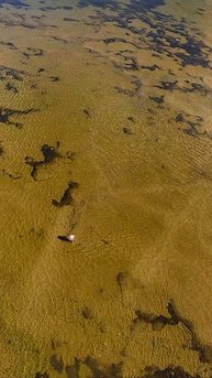 🌾 Деревня во Вьетнаме с высоты | DJI Avata FPV 🇻🇳Полёт над тихими сельскими пейзажами Вьетнама