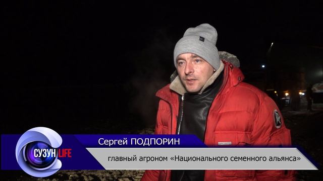 Уборка подсолнечника в ООО ССК ГРАНУМ. Сузунский район.