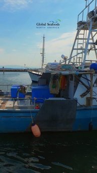 🚤 Небольшое рыболовное судно в марине Кап-Санте, АнакортесТрудолюбивое маленькое рыболовное судно