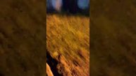 ура скоро каникулы