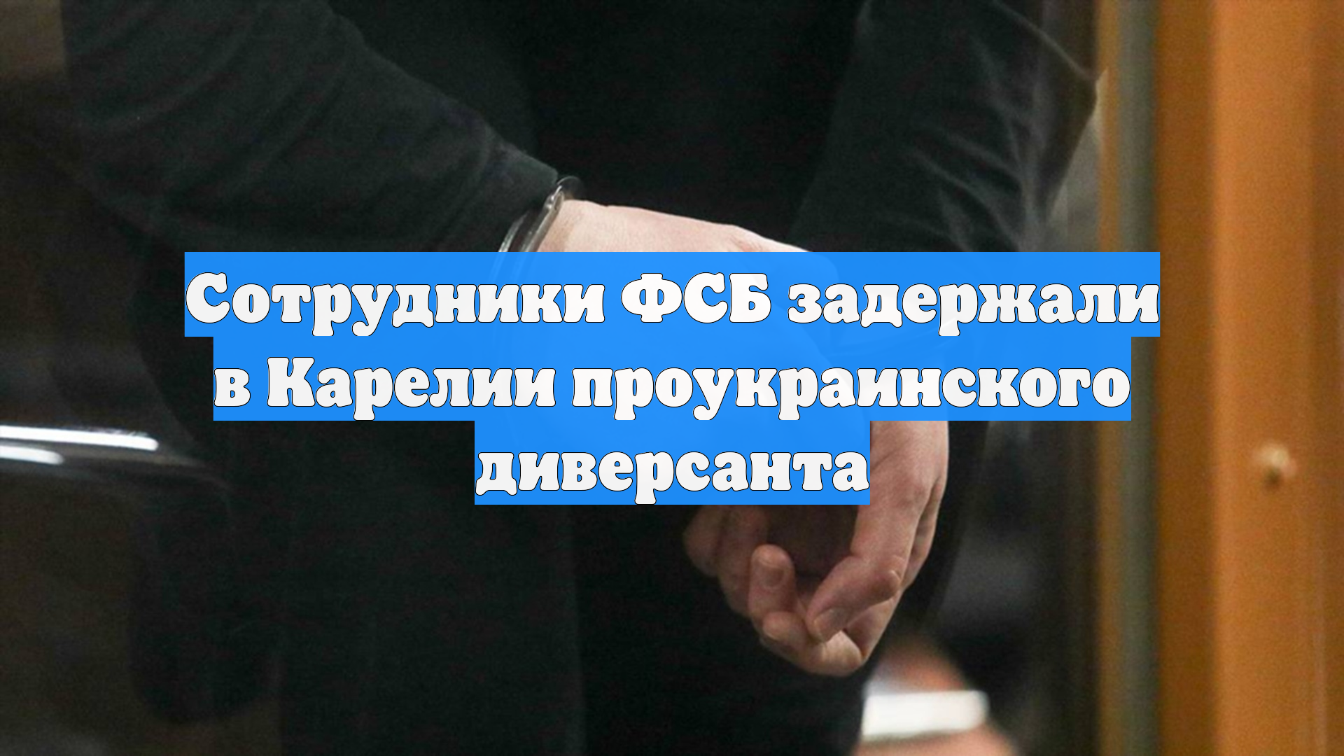 Сотрудники ФСБ задержали в Карелии проукраинского диверсанта