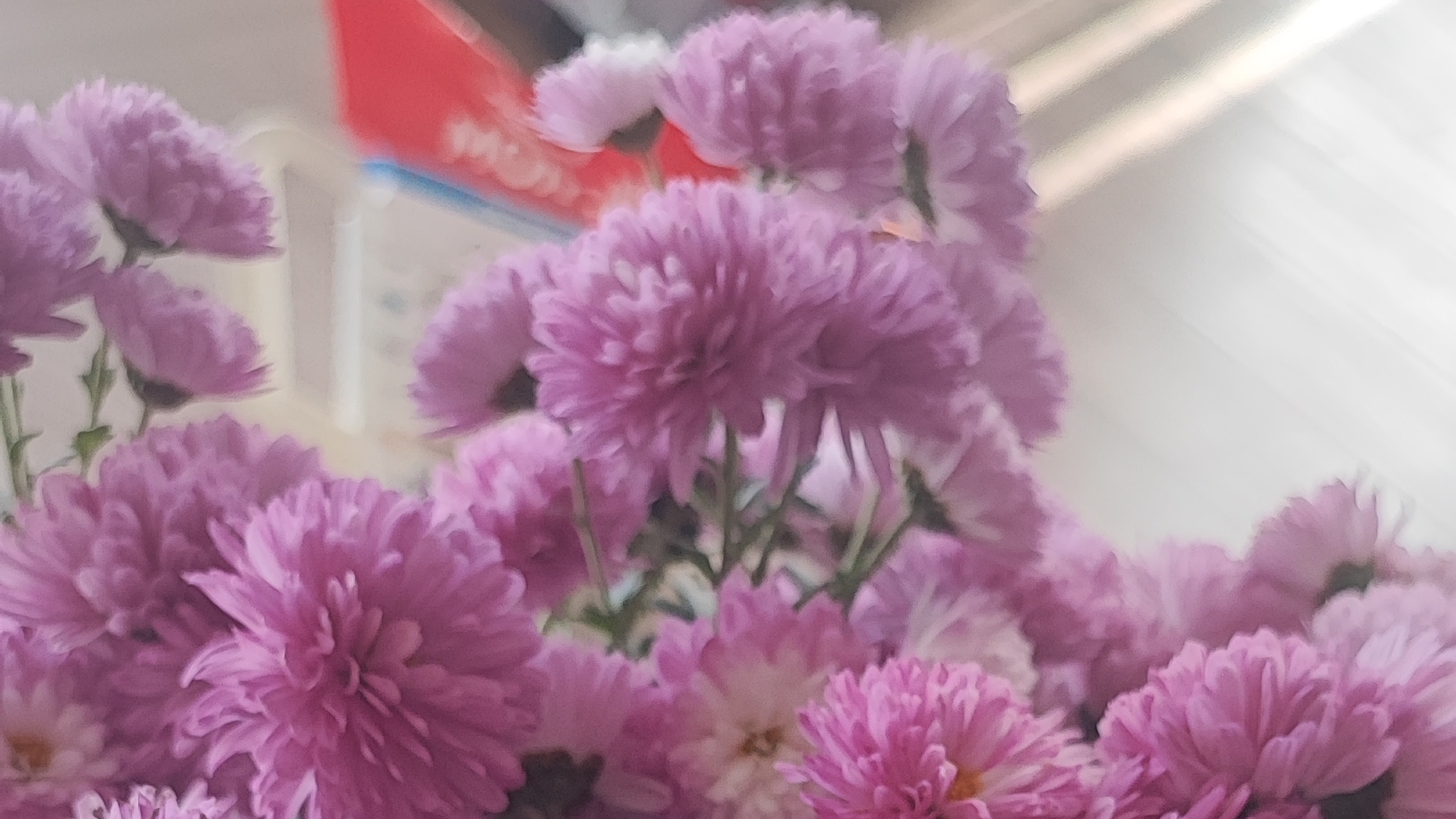 навожу красоту🌸 уборка🧹 переезд 🚗