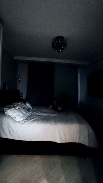 ПРАНК НАД МЛАДШЕЙ СЕСТРОЙ!!!! 
🤣🤣🤣
#Пранки