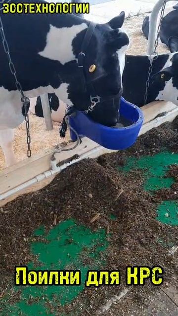 Поилки для КРС