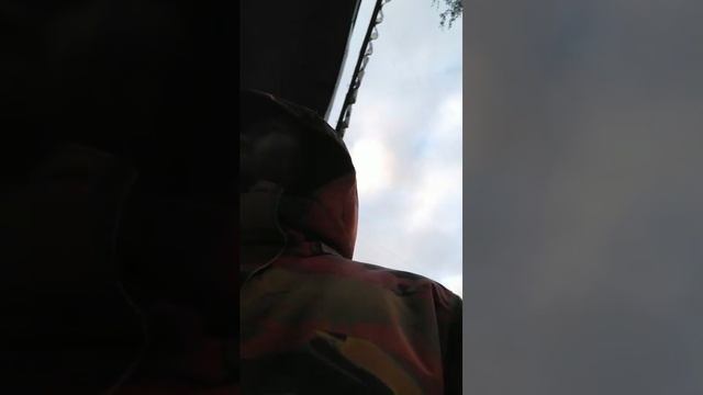 Мы идём гулять с собакой! | 23-окт-2025