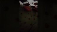 1000000367.mp4чоо