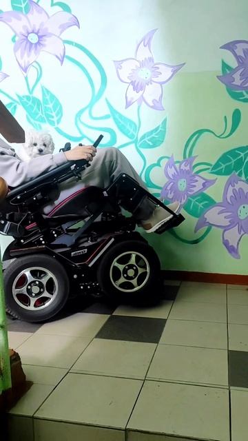 Весёлые покатушки с пушистым другом