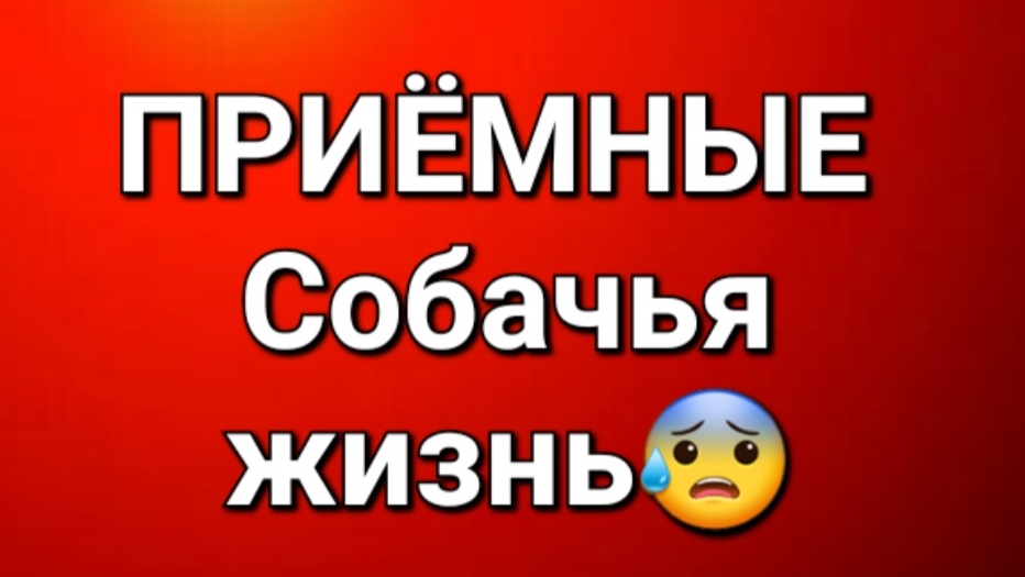 Приёмные/Обзор.