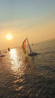 Парусная прогулка по заливу Пьюджет-Саунд | Съемка дроном DJI Avata ⛵🌊Идеальный день на воде