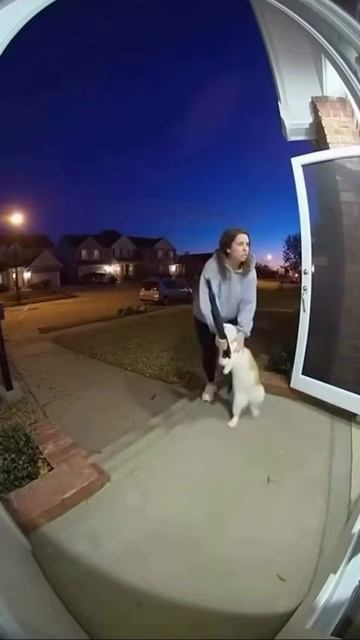 не забывайте вовремя кормить кота