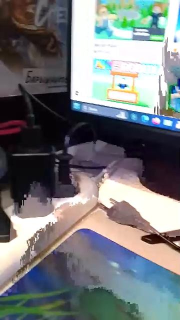 делаю уроки 3