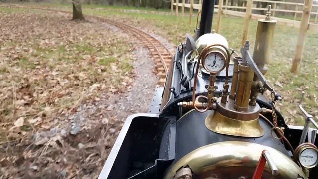 Puffin in the paddocks