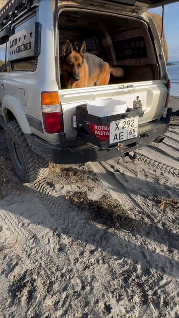 Разговор двух интеллектуалов. #Южнокурильск #тёма