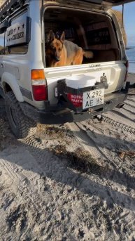 Разговор двух интеллектуалов. #Южнокурильск #тёма