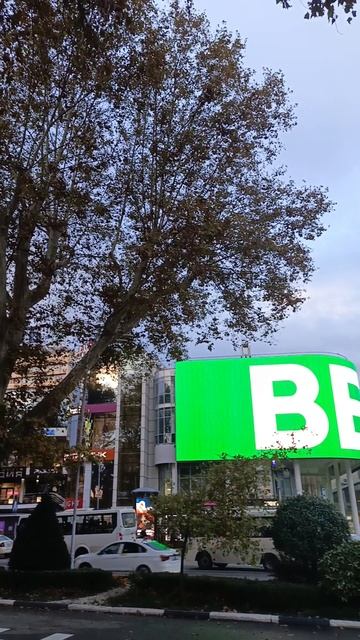 Коммерция Курортного проспекта