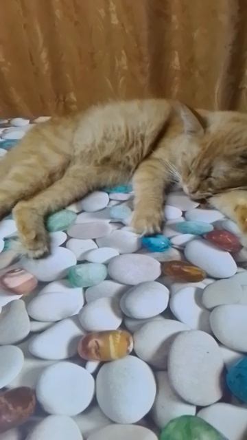 VID_20251024_183856.mp4