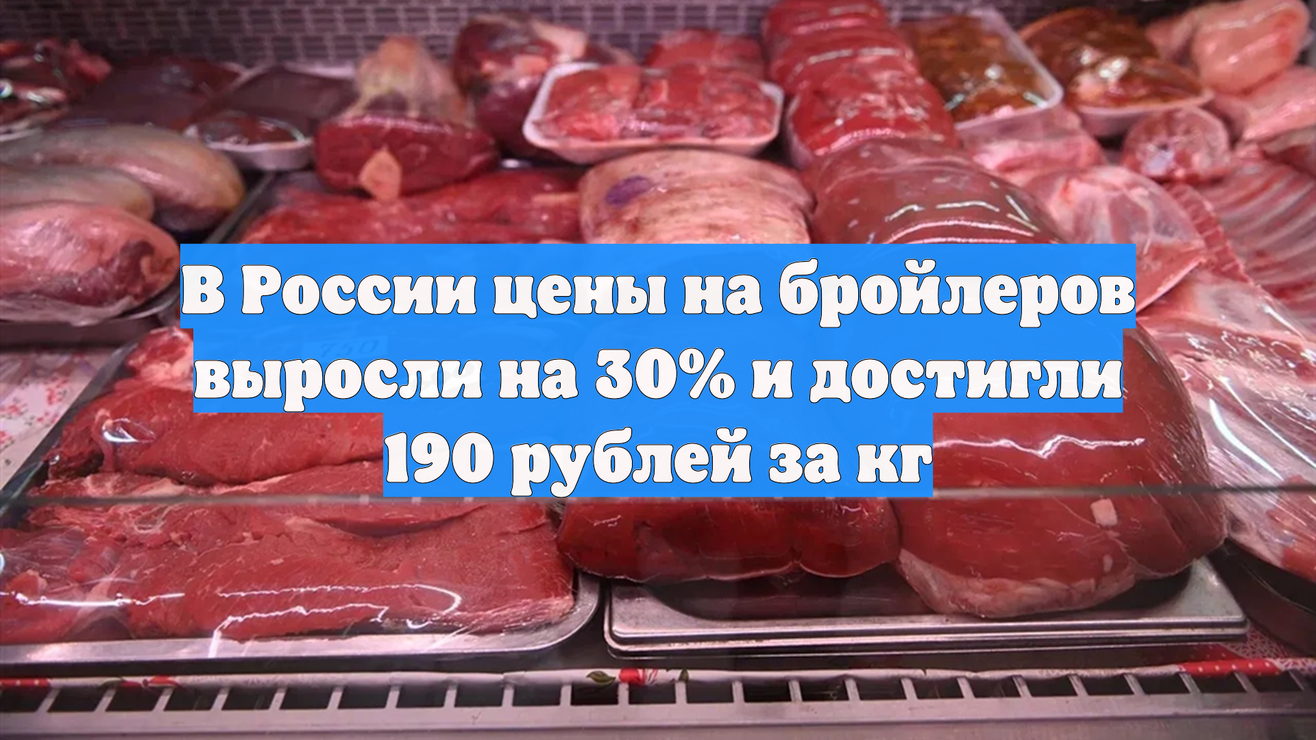 В России цены на бройлеров выросли на 30% и достигли 190 рублей за кг