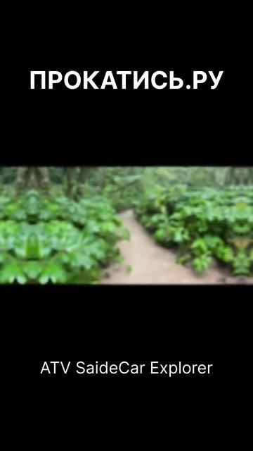 Квадроциклы SaideCar Explorer , продажа и тюнинг !