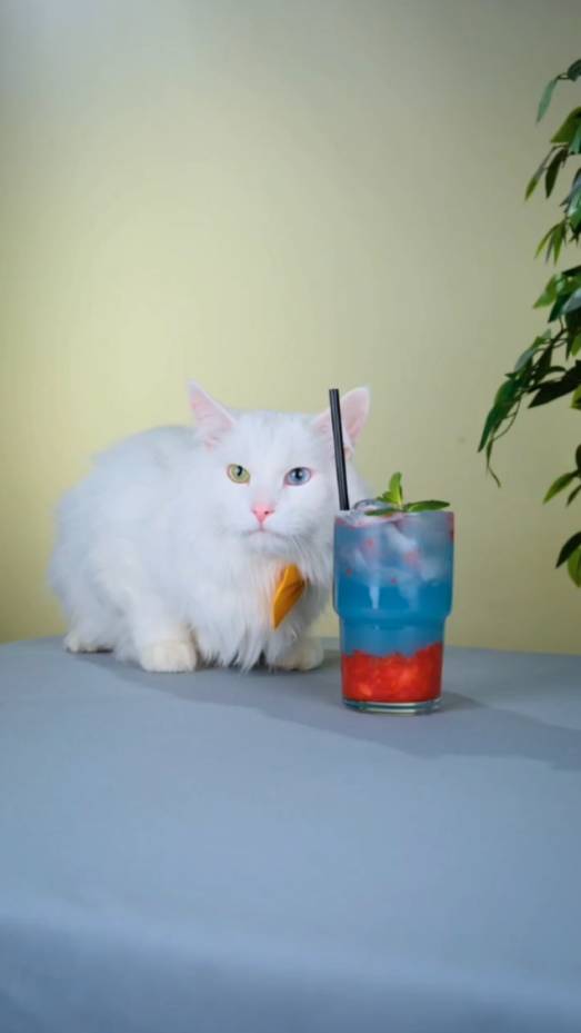 ТОП рецептов с клубничкой😋