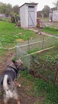 Жизнь хороша и  жить хорошо!
