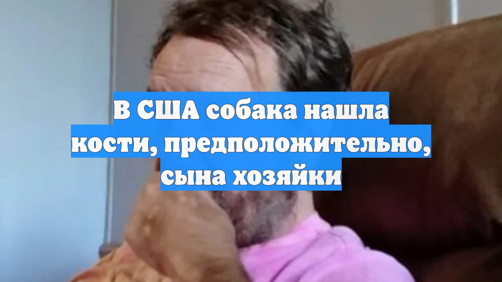 В США собака нашла кости, предположительно, сына хозяйки