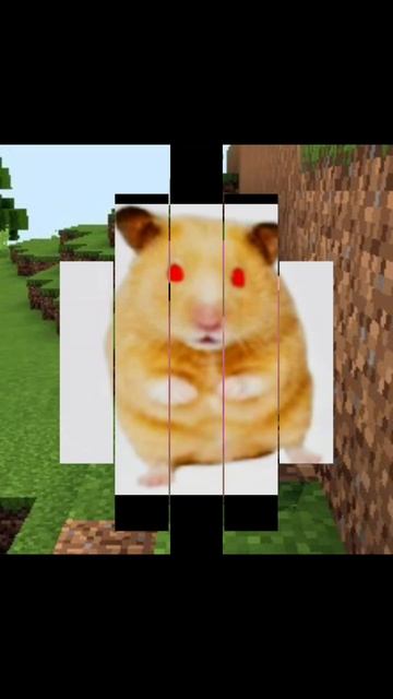 ⭐🪻🌈🍁🍉🍁🍄🍓🫧🫐