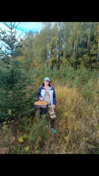 за грибочками