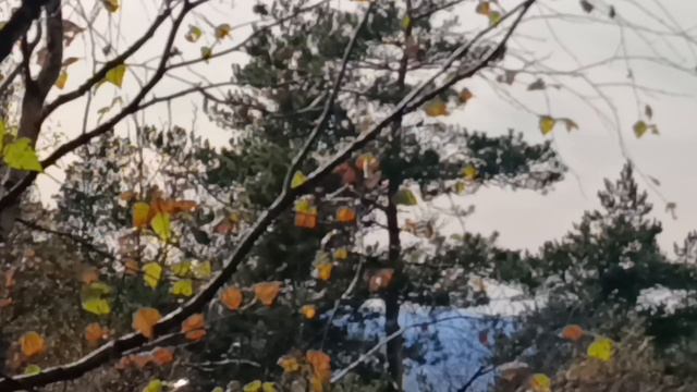 8. Татарские скалы. Хребет Уралтау. 3 октября 2025 года.