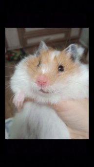 раиктаьвддчнаркрвгв🌜😀