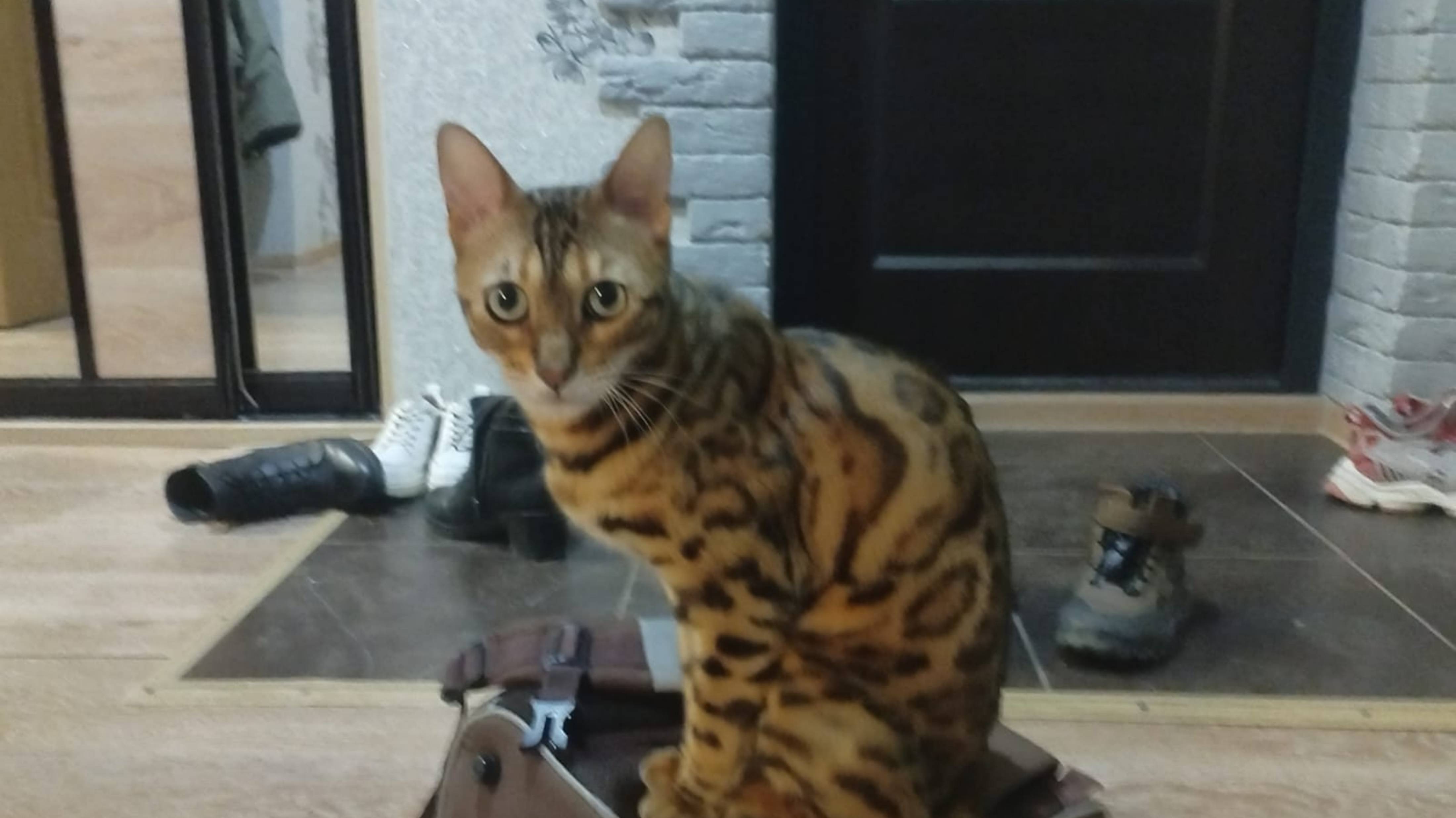 Дарина против всех 2 часть