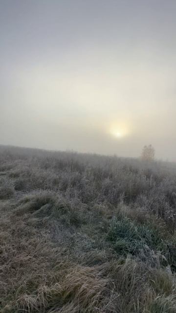Такая красота — лучший мотиватор!
