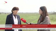 В Правобережном районе республики началась вакцинация животных