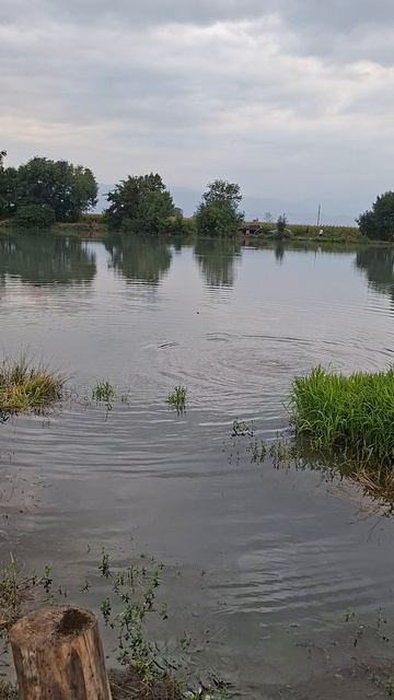 рыбалка в осетии