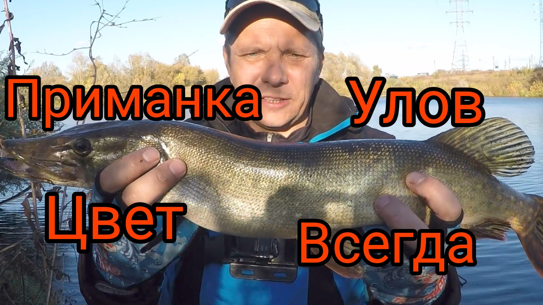 ЛОВЛЯ ЩУКИ в ОКТЯБРЕ. Одна из ТОПОВЫХ ПРИМАНОК на ЩУКУ